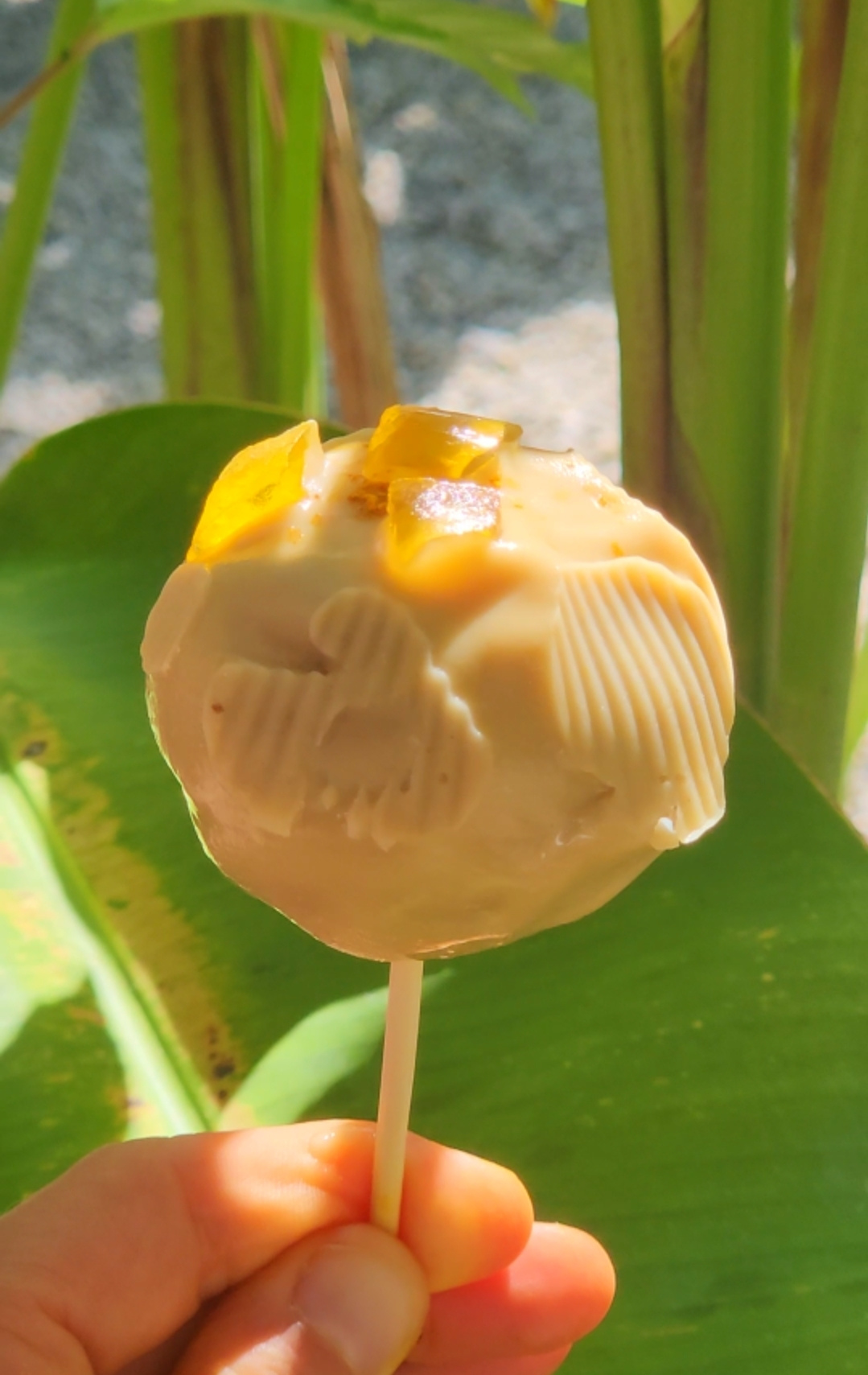 Criação Tropical